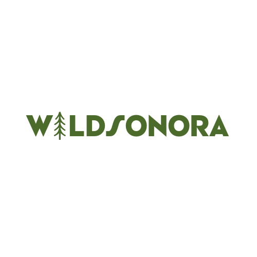 Wild Sonora